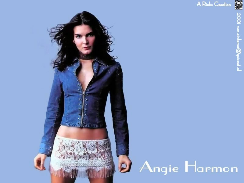 A hot free sexy wallpaper photo of Angie Harmon from our gallery