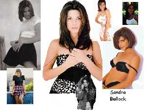 hot free sexy wallpaper photo pic of Sandra Bullock