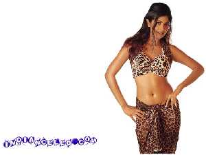 hot free sexy wallpaper photo pic of Shilpa Shetty 7